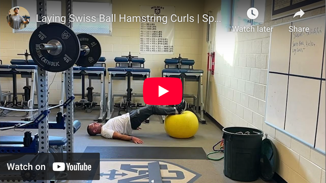 LAYING LEG CURLS with Exercise Ball